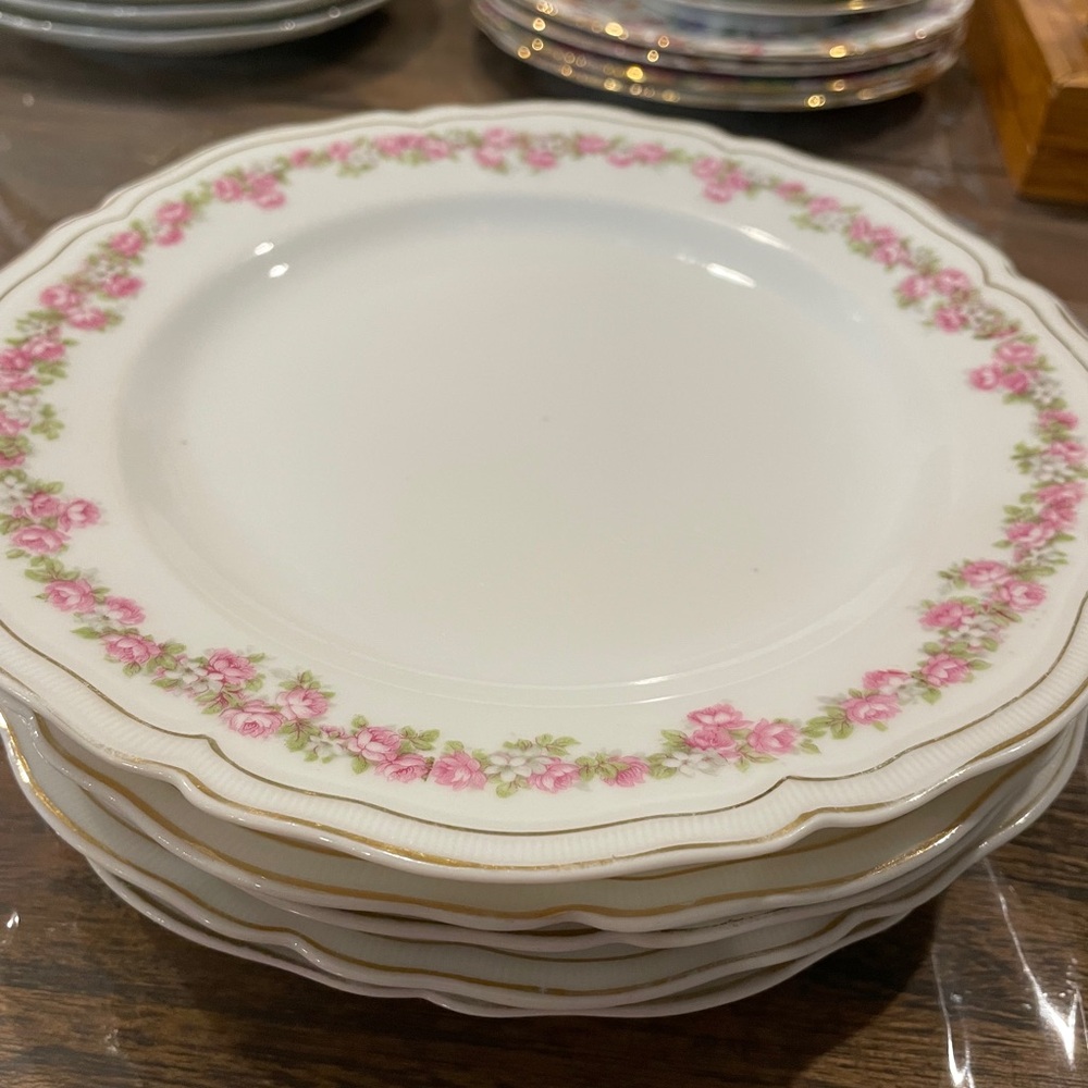 Austrian vintage 5 plates